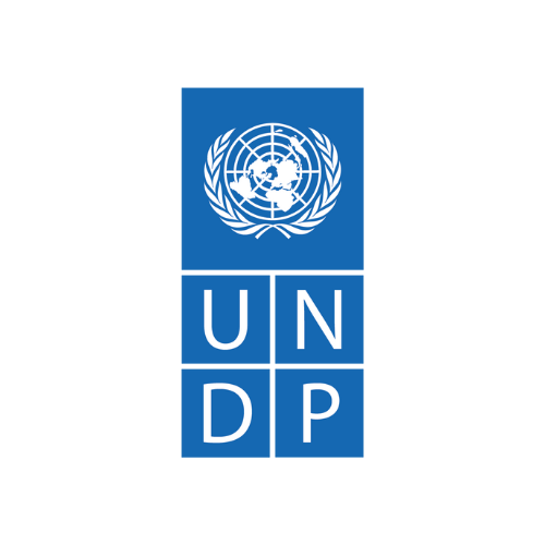 Logo UNDP